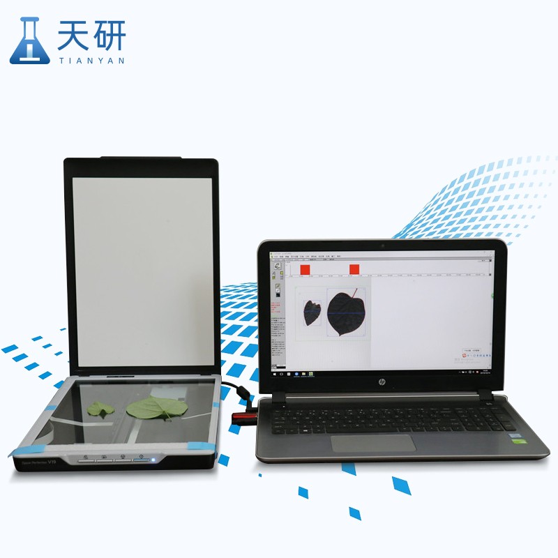 葉面積測(cè)定儀的應(yīng)用意義